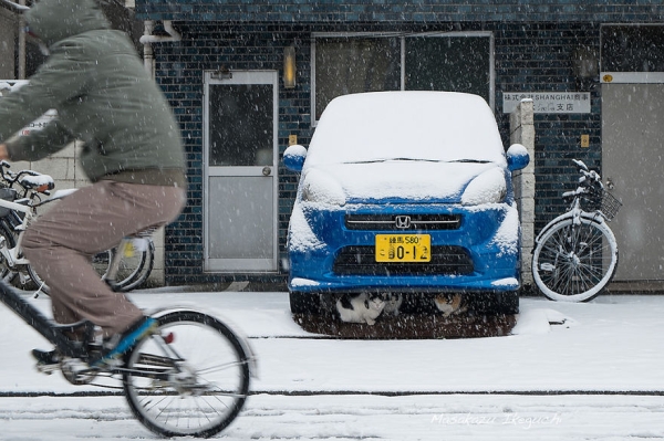 20 кадров уличной фотографии, которые открывают неизвестную сторону Японии