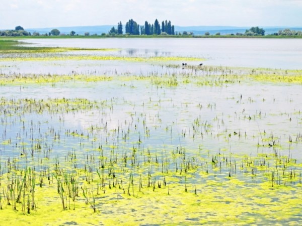 Достопримечательности Австрии: Топ-25 (МНОГО ФОТО) Достопримечательности Австрии: Топ-25 (МНОГО ФОТО)