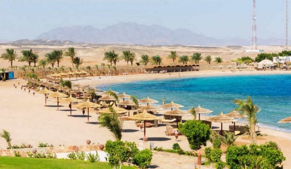 Египет в мае: высокий сезон по умеренной цене Египет в мае: высокий сезон по умеренной цене