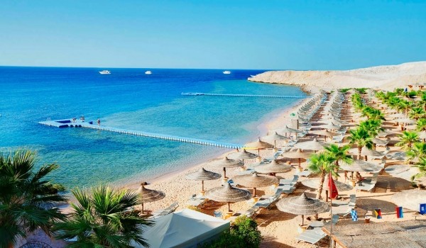 Египет в мае: высокий сезон по умеренной цене Египет в мае: высокий сезон по умеренной цене