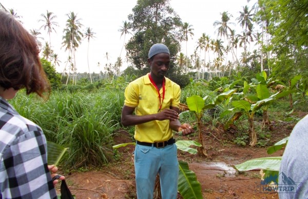 Отдых на Занзибаре (Танзания) — 2020: мой отзыв и цены