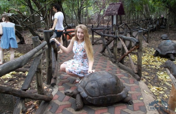 Отдых на Занзибаре (Танзания) — 2020: мой отзыв и цены