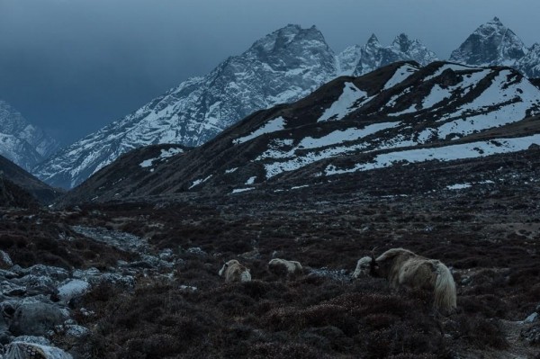 Лучше гор могут быть только горы Лучше гор могут быть только горы