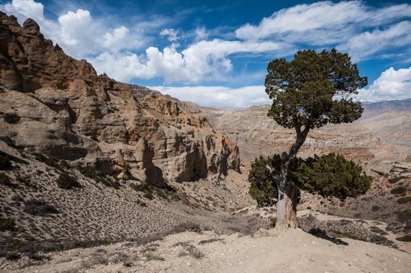 Лучше гор могут быть только горы Лучше гор могут быть только горы