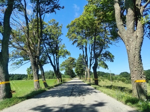 Аренда авто в Калининграде: что посмотреть в Калининградской области за 3 дня Аренда авто в Калининграде: что посмотреть в Калининградской области за 3 дня