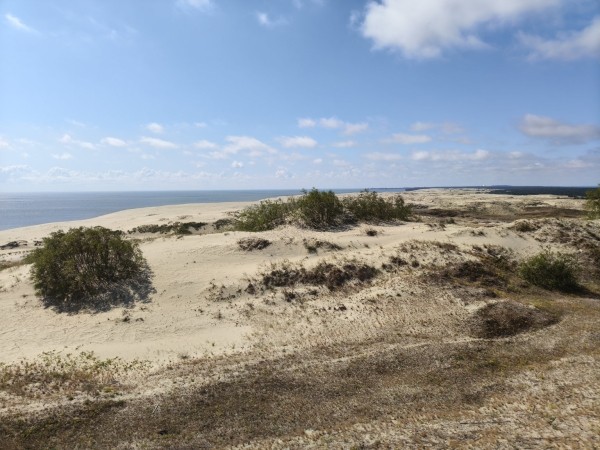 Аренда авто в Калининграде: что посмотреть в Калининградской области за 3 дня Аренда авто в Калининграде: что посмотреть в Калининградской области за 3 дня