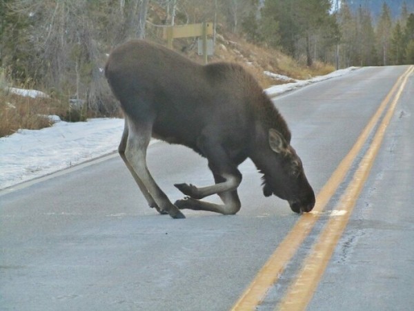 Почему снегом долго не получится утолять жажду? (7 фото) Почему снегом долго не получится утолять жажду? (7 фото)