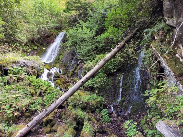 Абхазия за 1 день: экскурсия на озеро Рица Абхазия за 1 день: экскурсия на озеро Рица