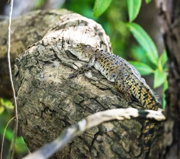 Десять шокирующих фактов, в которые трудно поверить Десять шокирующих фактов, в которые трудно поверить