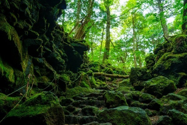 12 самых загадочных мест на планете 12 самых загадочных мест на планете