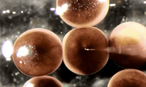 11 роботов, которые, возможно, составят нам конкуренцию