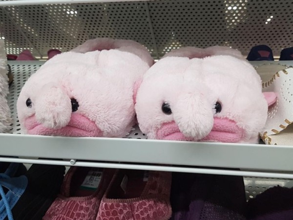 22 интересных и странных товара из магазинов разных стран 22 интересных и странных товара из магазинов разных стран