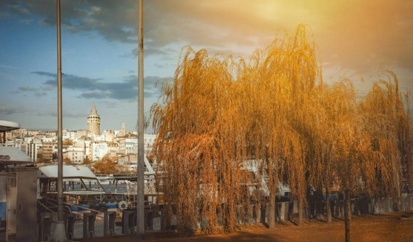 Стамбул в ноябре: город контрастов в осенней дымке Стамбул в ноябре: город контрастов в осенней дымке