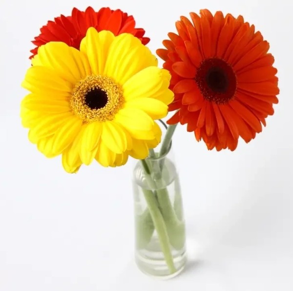 Десять шокирующих фактов, в которые трудно поверить Десять шокирующих фактов, в которые трудно поверить