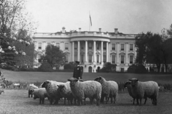 Архивные фото, которые передают атмосферу прошлого (40 фото)