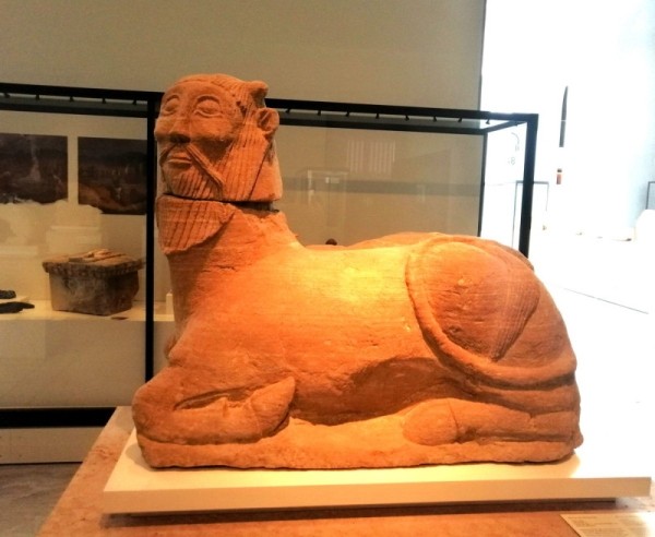 Бича де Баласоте – загадочный химерический образ