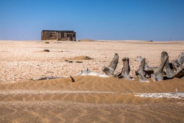 Берег Скелетов - самое негостеприимное место на Земле (8 фото)
