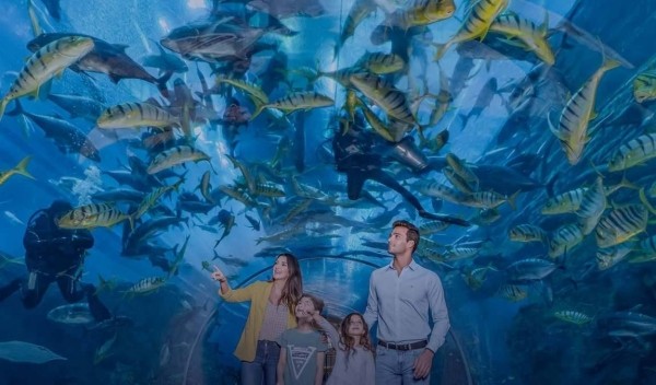 ОАЭ в мае: рассветы и закаты на пляже ОАЭ в мае: рассветы и закаты на пляже