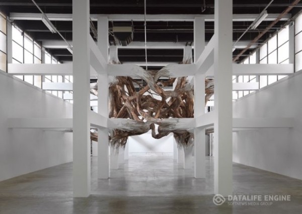 Сплетенные деревья от Энрике Оливейра (6 фото)