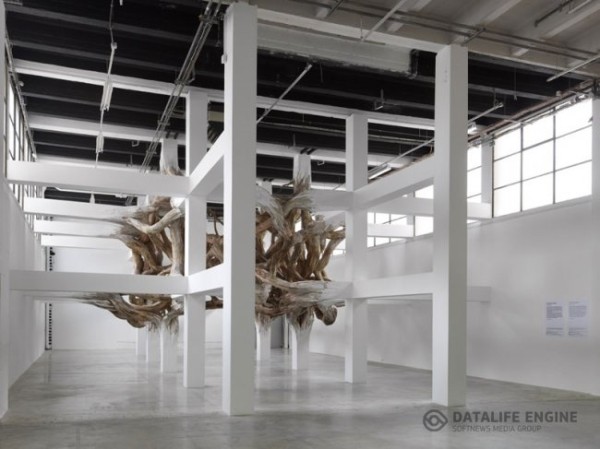 Сплетенные деревья от Энрике Оливейра (6 фото)