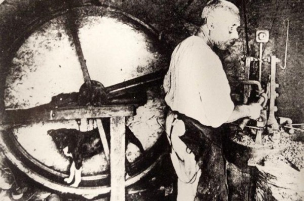 Вертельные собаки — загадочная кухонная порода Вертельные собаки — загадочная кухонная порода