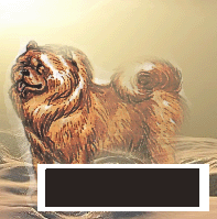 Мифические существа (40 фото)