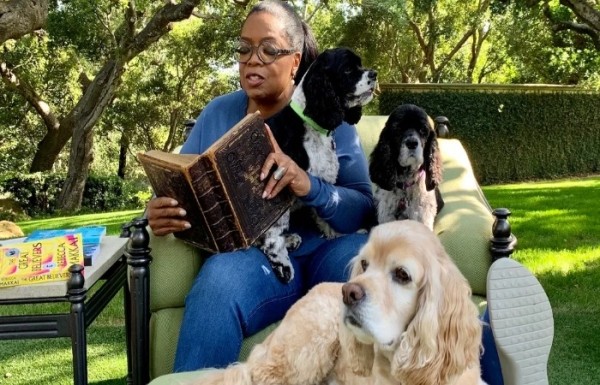 Миллион долларов за 6 колечек дыма, залп прахом из пушки и другие самые странные завещания