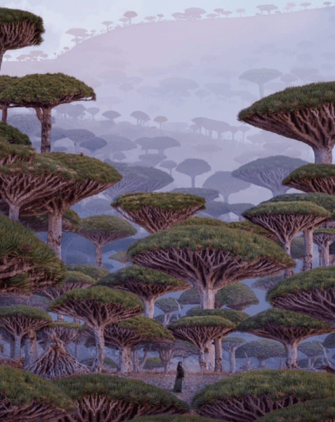 20 невероятных мест на Земле, которые выглядят как сказка