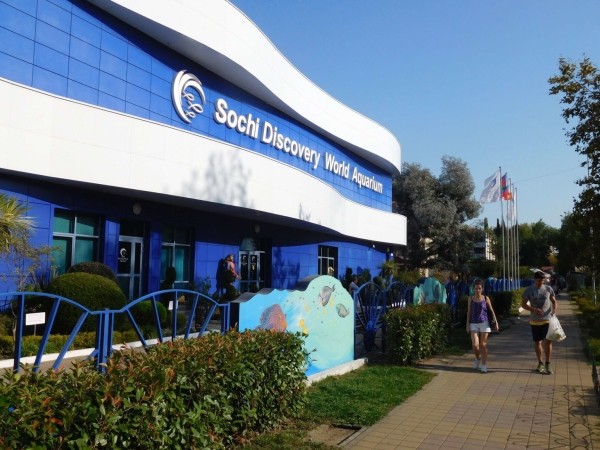 Океанариум в Сочи: 10 советов перед посещением Океанариум в Сочи: 10 советов перед посещением