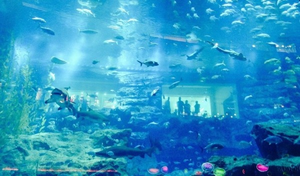 ОАЭ в апреле: по-настоящему теплый прием ОАЭ в апреле: по-настоящему теплый прием