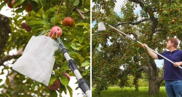 16 странных находок, о предназначении которых удалось узнать только благодаря знатокам из Интернета 16 странных находок, о предназначении которых удалось узнать только благодаря знатокам из Интернета