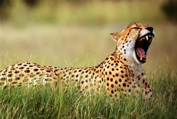 Десять шокирующих фактов, в которые трудно поверить Десять шокирующих фактов, в которые трудно поверить