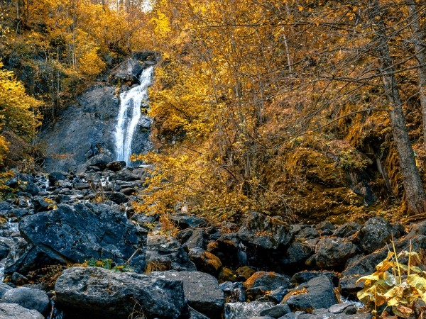 Абхазия за 1 день: экскурсия на озеро Рица Абхазия за 1 день: экскурсия на озеро Рица
