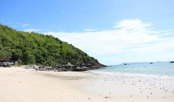 Паттайя в декабре: новогодняя сказка по-тайски Паттайя в декабре: новогодняя сказка по-тайски