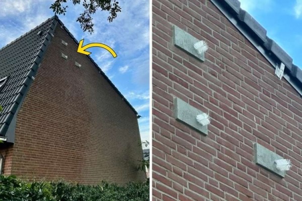 16 непонятных штуковин, найденных людьми, смысл которых раскрыли люди в Интернете 16 непонятных штуковин, найденных людьми, смысл которых раскрыли люди в Интернете