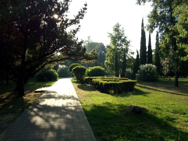 Океанариум в Сочи: 10 советов перед посещением Океанариум в Сочи: 10 советов перед посещением