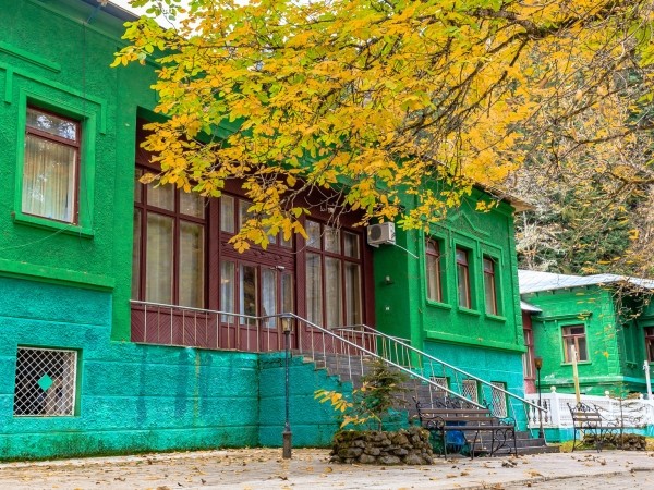 Абхазия за 1 день: экскурсия на озеро Рица Абхазия за 1 день: экскурсия на озеро Рица