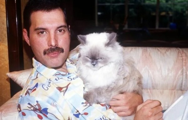 Миллион долларов за 6 колечек дыма, залп прахом из пушки и другие самые странные завещания