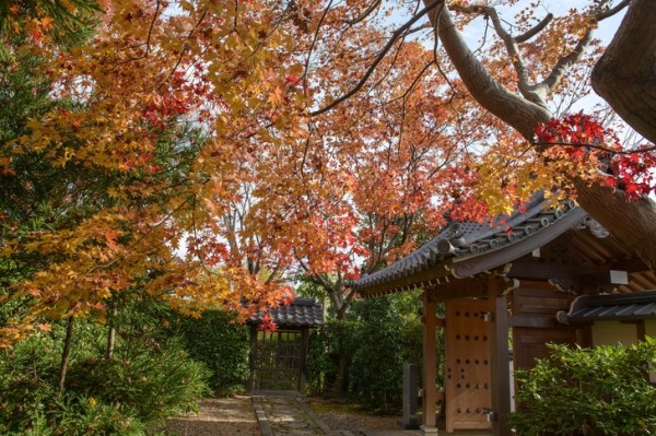 10 самых красивых садов мира 10 самых красивых садов мира