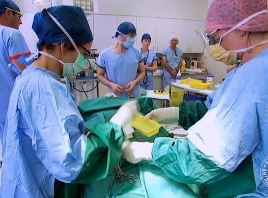 Факты об Антарктиде Факты об Антарктиде