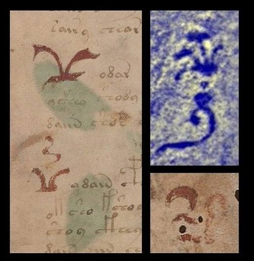 Скрытый текст найден в легендарном манускрипте Войнича Скрытый текст найден в легендарном манускрипте Войнича