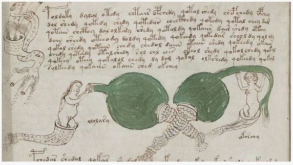 Скрытый текст найден в легендарном манускрипте Войнича Скрытый текст найден в легендарном манускрипте Войнича