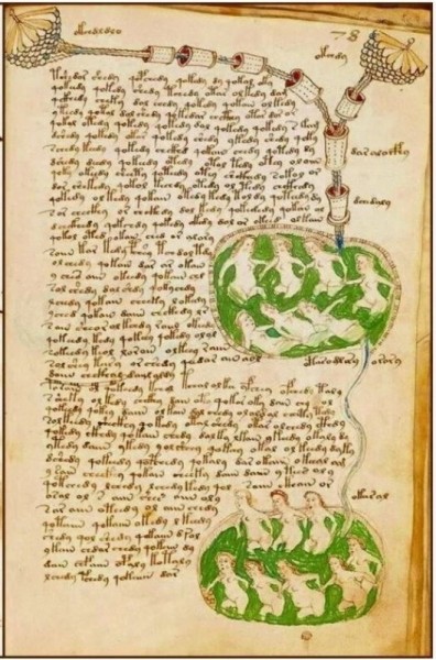 Скрытый текст найден в легендарном манускрипте Войнича Скрытый текст найден в легендарном манускрипте Войнича