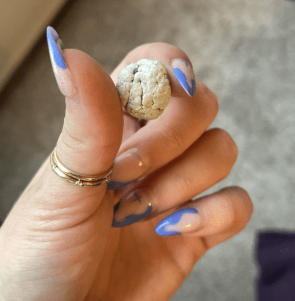 Объясните мне, что это за штука? (15 фото)