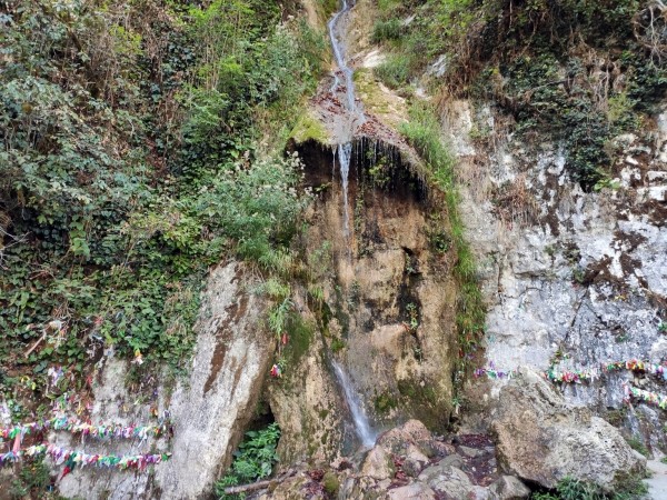 Абхазия за 1 день: экскурсия на озеро Рица Абхазия за 1 день: экскурсия на озеро Рица