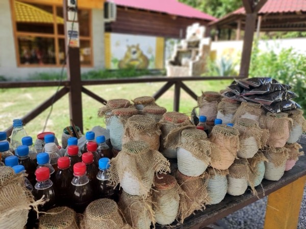 Абхазия за 1 день: экскурсия на озеро Рица Абхазия за 1 день: экскурсия на озеро Рица