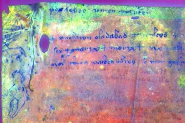 Скрытый текст найден в легендарном манускрипте Войнича Скрытый текст найден в легендарном манускрипте Войнича