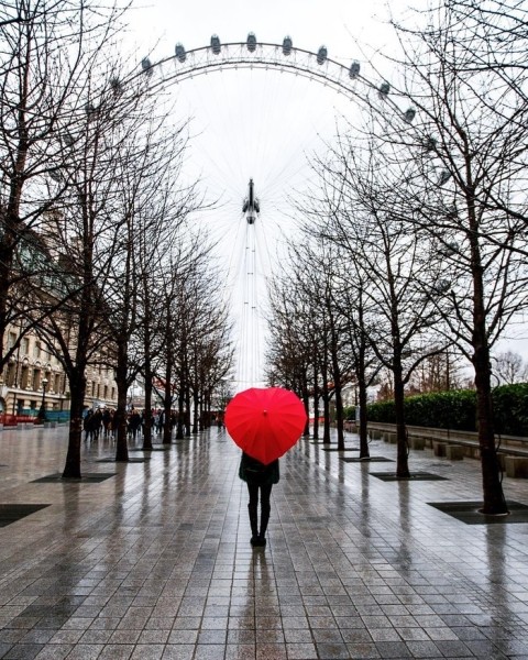Когда фотограф едет в отпуск