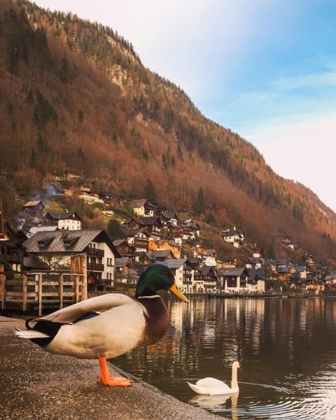 Когда фотограф едет в отпуск