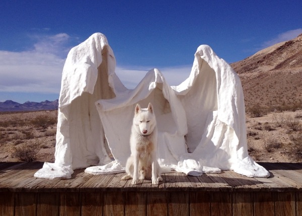 Путешествия Джона и его хаски Вольфа Путешествия Джона и его хаски Вольфа